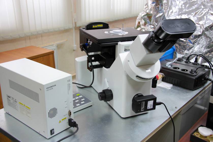 Inverted microscope OLYMPUS GX51. Magnification range from 12.5 to 1500.